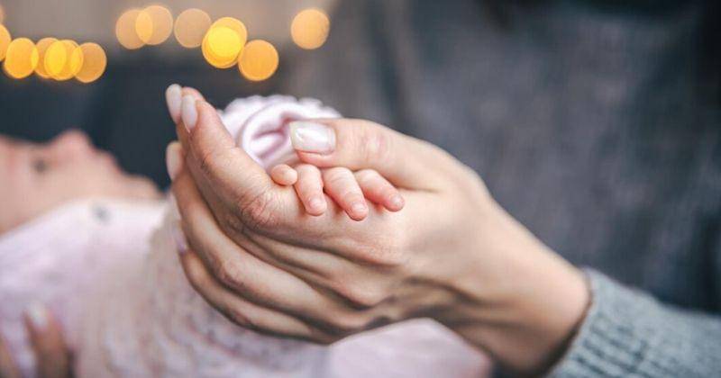 Freepik/pvproductions